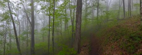 Day 25: Grayson Highlands and Sore Feet Day 25: Grayson Highlands and Sore Feet