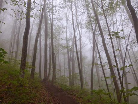 Day 25: Grayson Highlands and Sore Feet Day 25: Grayson Highlands and Sore Feet