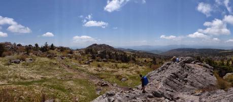 Day 25: Grayson Highlands and Sore Feet Day 25: Grayson Highlands and Sore Feet