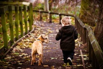 Learn How Young Children and Pets Respond to Stressful Situations