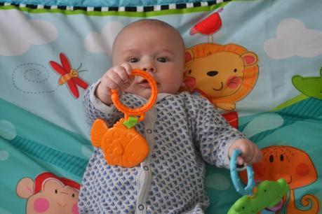 Fisher Price Discover 'n Grow Jumbo Baby Playmat