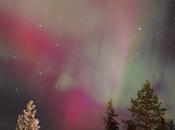 Northern Lights; Practical Guide