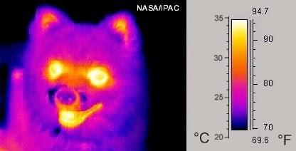 Infrared - Thermal imaging .... Scotland Council using ... and the man behind