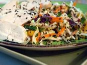 Asian Cabbage Salad with Poached Chicken