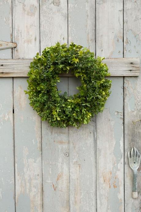 3 ways to make a topiary