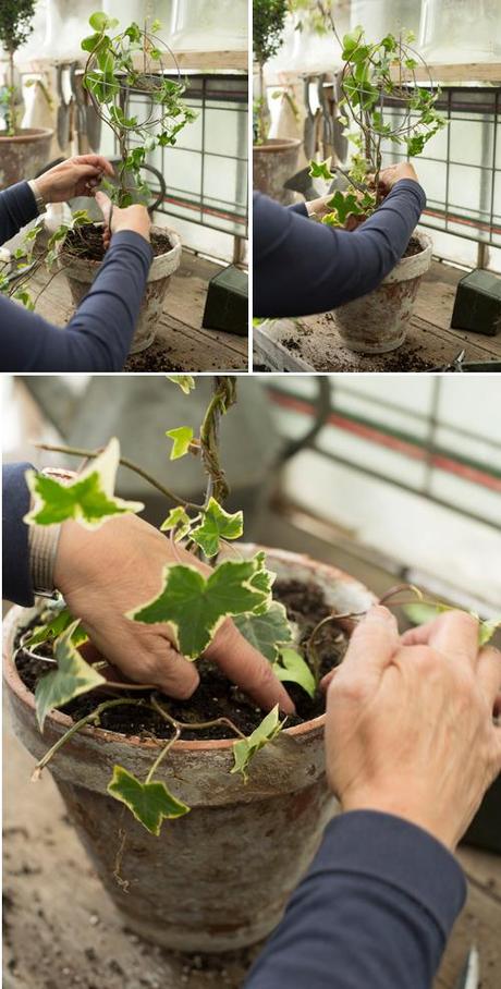 globe topiary tutorial