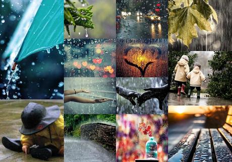 RAIN MOOD BOARD 2 FAF