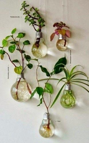 Decorating with plants and house plant inspiration