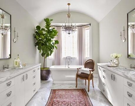 Decorating with plants and house plant inspiration