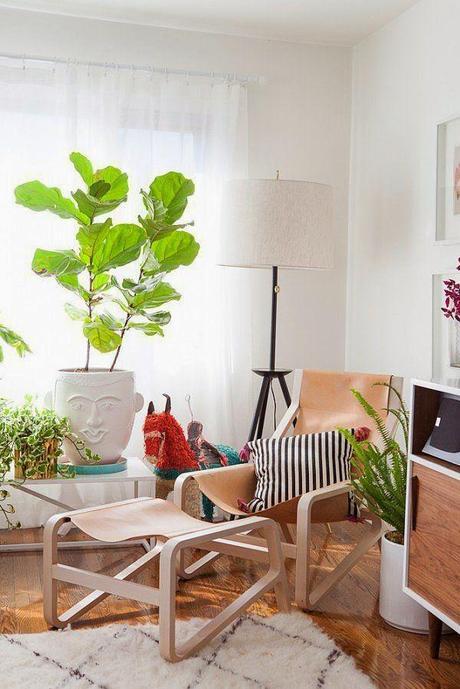Decorating with plants and house plant inspiration