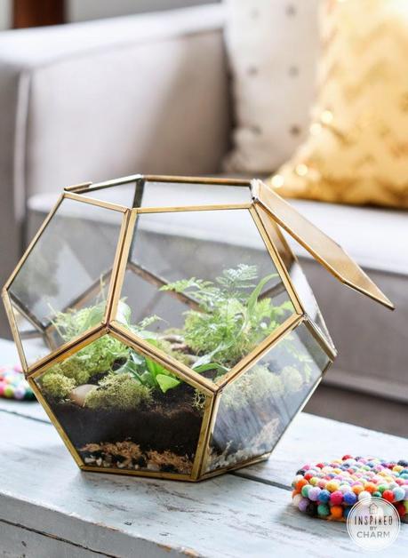 Decorating with plants and house plant inspiration