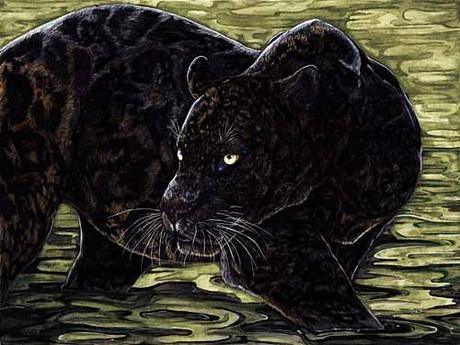 Melanistic jaguar