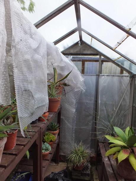 Greenhouse Tidy Up