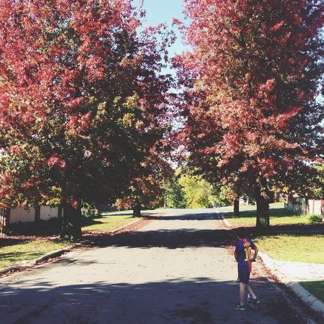 lime link love // no. 8 Untitled