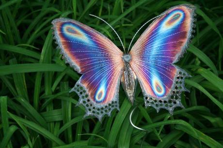 Purple-butterfly