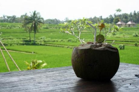 Serving drinks out of coconut shells