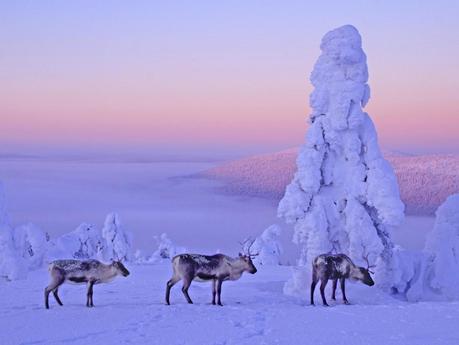 Lapland Finland