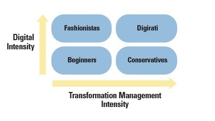 The Digital Maturity Model