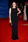 julia-louis-dreyfus-100th-annual-white-house-correspondents-association-dinner-antonio-berardi-pre-fall-2013-dress