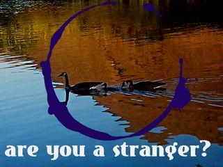 Are you a stranger