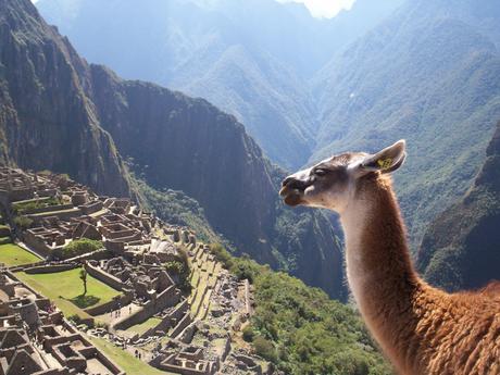 Machu Picchu