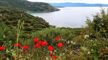 Elena's Travelgram Postcards from Corsica