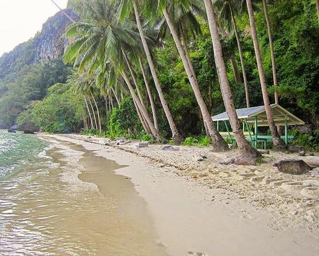 El Nido Tours B and D