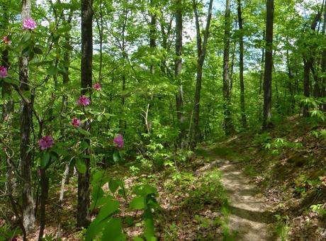 Day 27: A Pitstop In Atkins