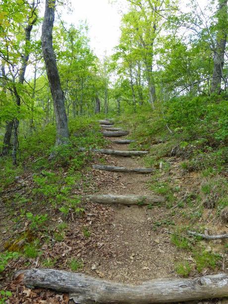 Day 27: A Pitstop In Atkins