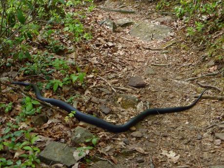 Day 27: A Pitstop In Atkins