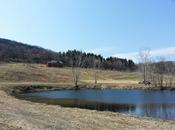 Nostrano Vineyards Open This Fall