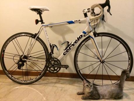 Selling my Cervelo R3, kitty not included. 