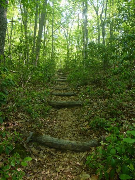 Day 28: Big Day To The Big Walker