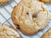 Graham Cracker Chocolate Chip Cookies Recipe
