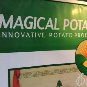 Magical_Potatoe_Pillow_Product_Lebanon01