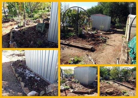 The New Chook Food Shed Gets a Garden