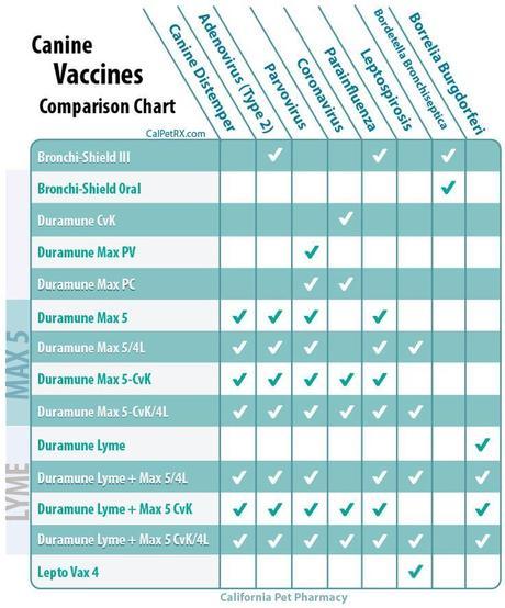 Canine Immunization Chart