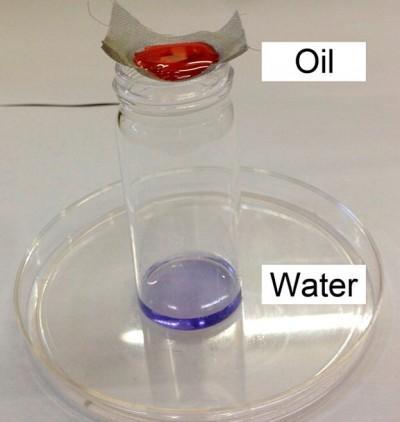 A new coating that easily separates oil from water could make oil cleanup faster