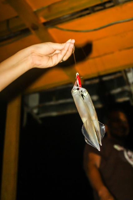 Squid Jigging in Terengganu, Malaysia: Not As Quirky As It Sounds