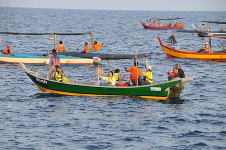 Squid Jigging in Terengganu, Malaysia: Not As Quirky As It Sounds