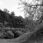 Hidden Between the Vineyards IMG_1447_Snapseed