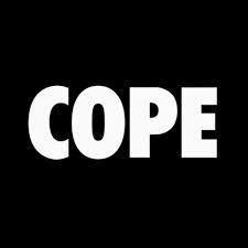 Manchester Orchestra Cope review
