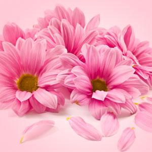 Spring Flowers Scent