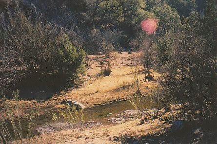 Moving the boundary, and God's reaction to it