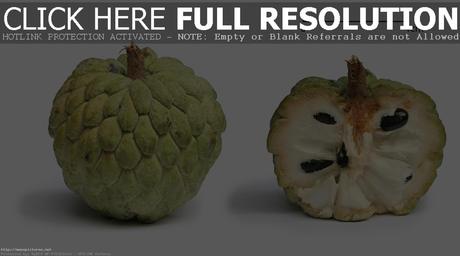 Sugar Apple Annona squamosa