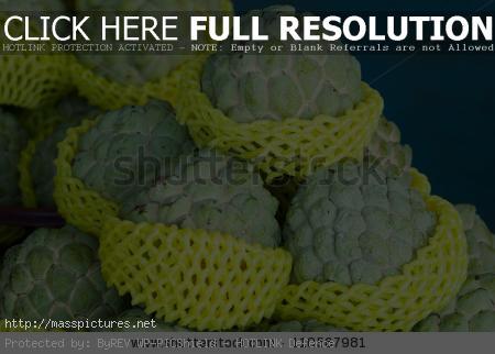 Sugar Apple Annona squamosa