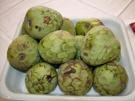 Cherimoya Annona cherimola