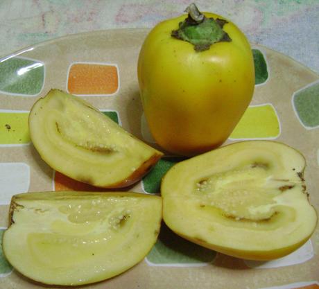 Cocona Solanum sessiliflorum