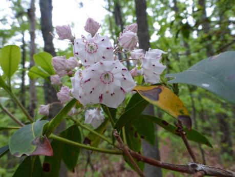 Day 31: An Eventful Virginia Day Day 31: An Eventful Virginia Day