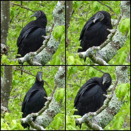 Day 31: An Eventful Virginia Day Day 31: An Eventful Virginia Day